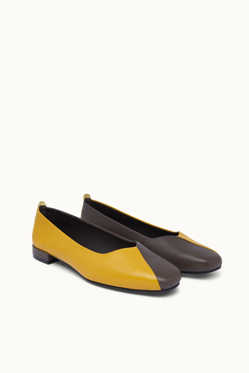 Ziggy Chocolate Golden - Imagen 5